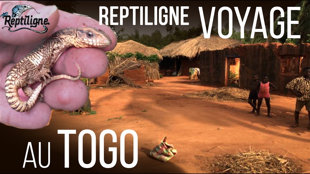 VOYAGE : Animaux sauvages et ferme d'élevage - Reptiligne au Togo !