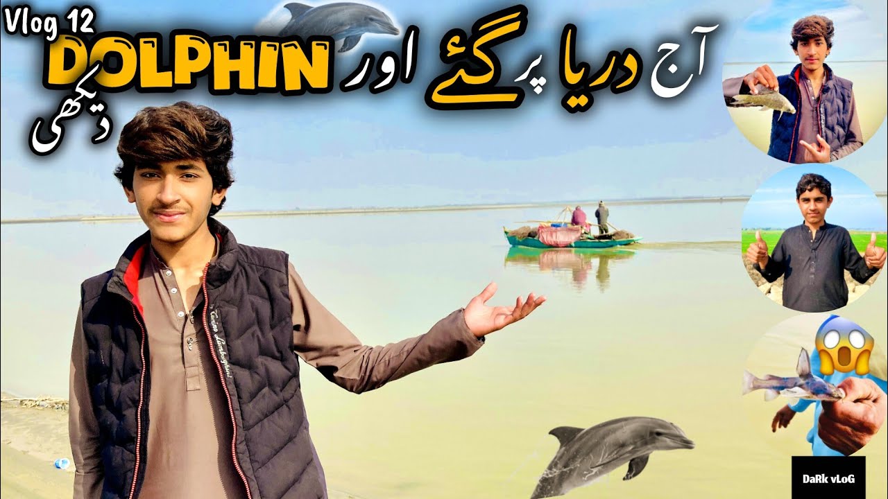 Aj Dost Ka Sath Darya 🌊 Pr gy , Or udher DOLPHIN 🐬 Dakhi😱🐬 | VLOG 12  #darkvlog #vlog #dolphin #vlog