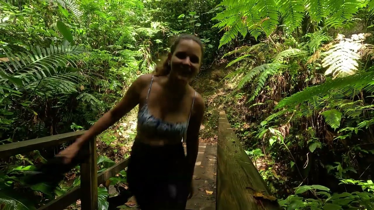 Escapade en Dominique, îles des caraibes. Cascade époustouflante