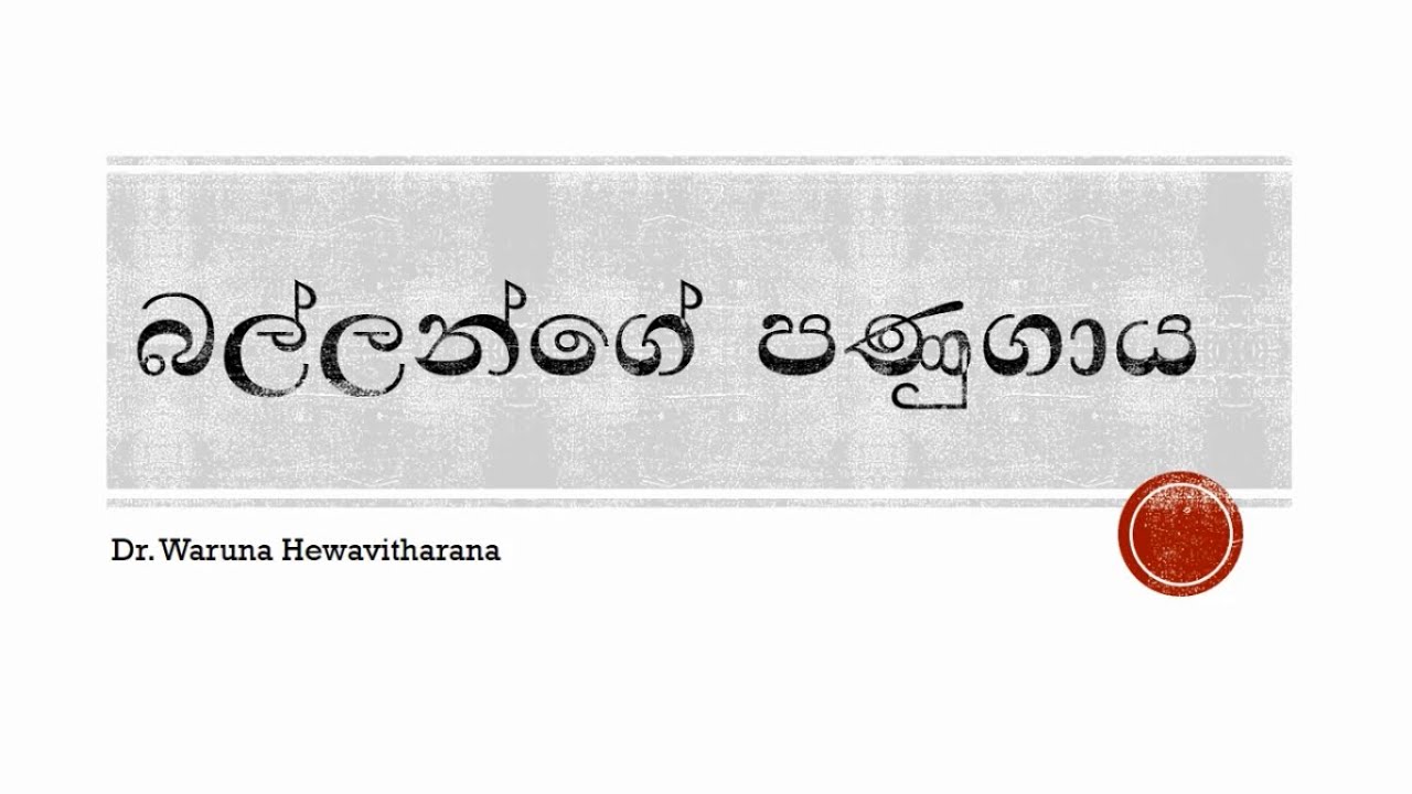 බල්ලන්ගේ පණුගාය | Worm Infestation in Dogs