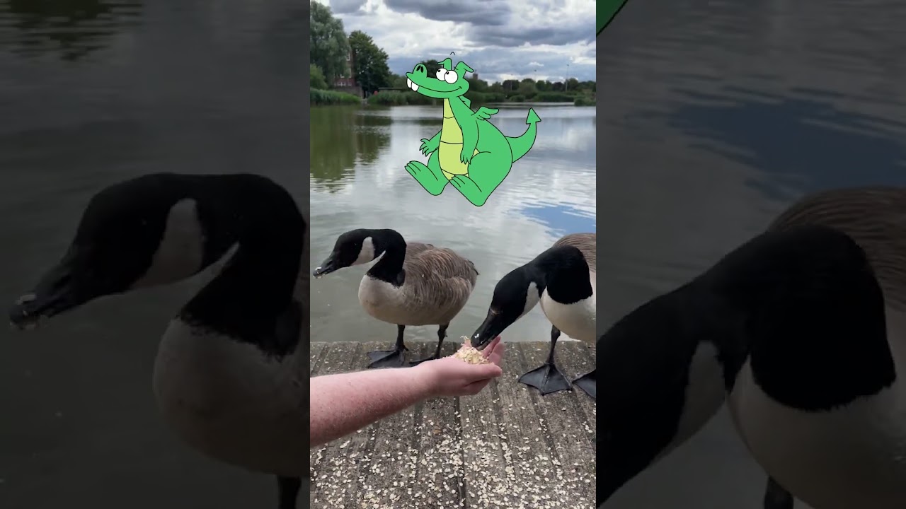 Cartoon Dragon Meets Live Action Goose | Animation in Real Life | Boy & Dragon #shorts