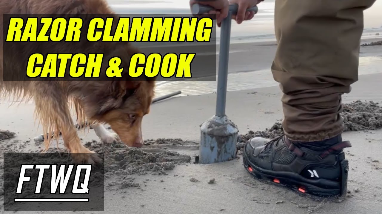 Razor Clamming In Oregon! Foraging Razor Clams - Coastal Catch and Cook