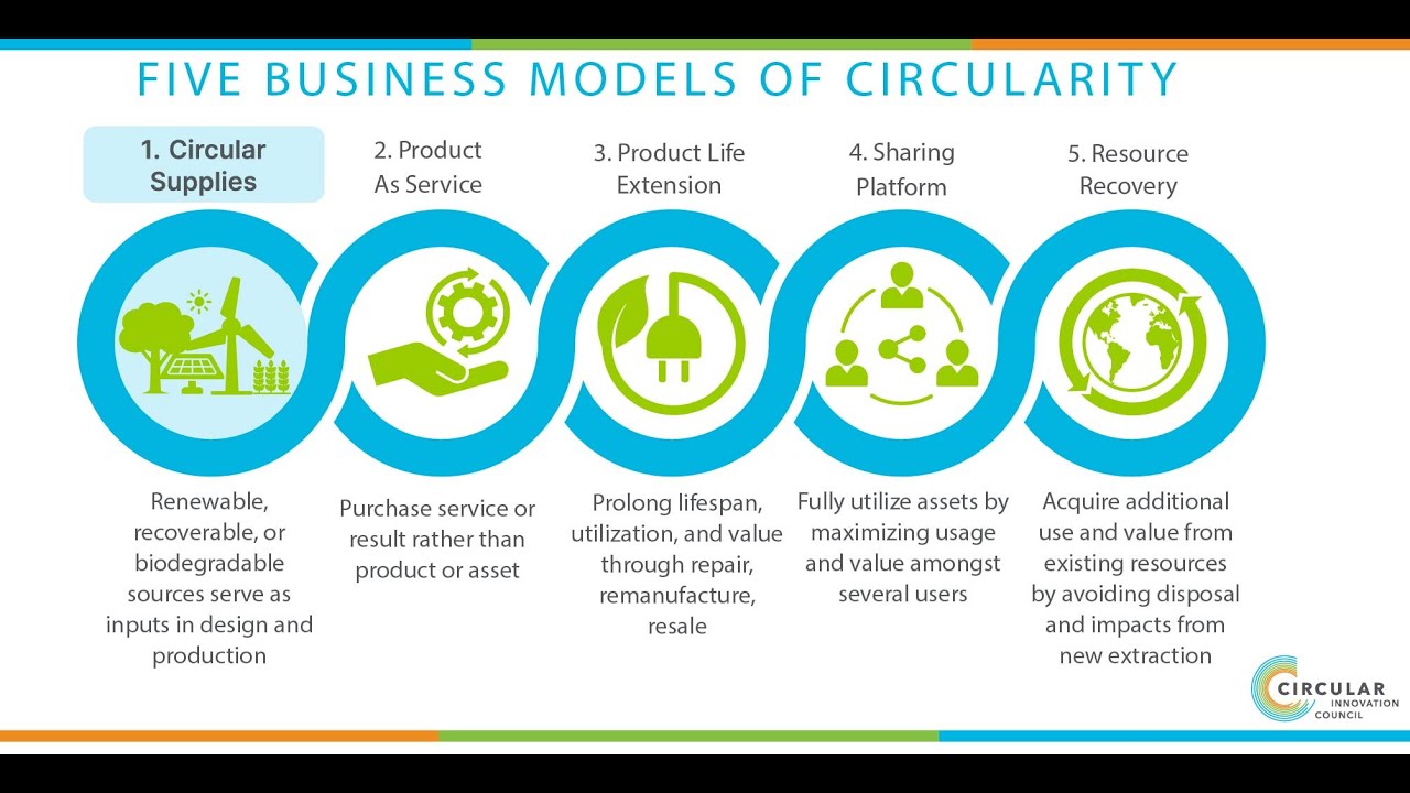 Driving the Circular Economy Through Public Procurement