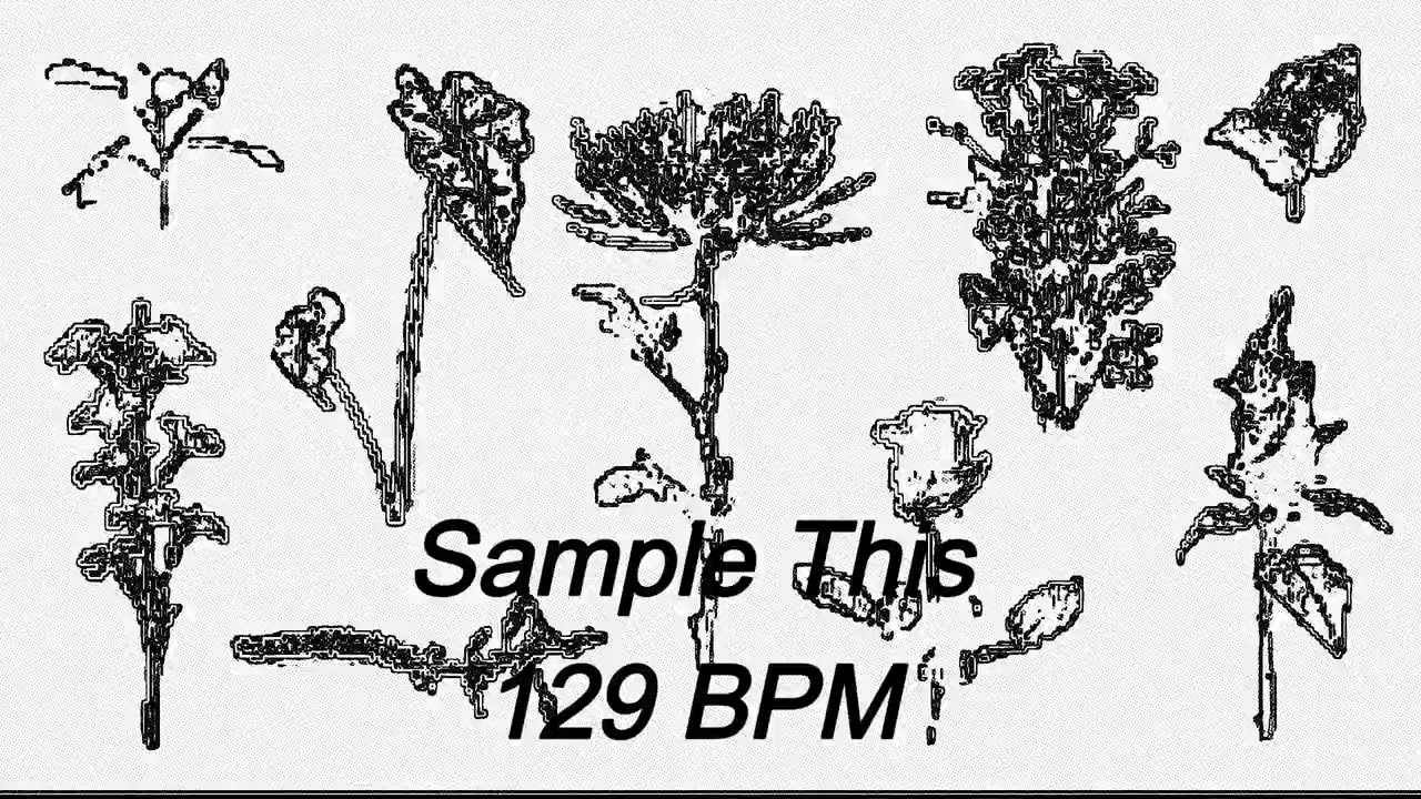 Sample this 129 BPM #flstudio #sampletype #producertok #music #musicproducer #tayga