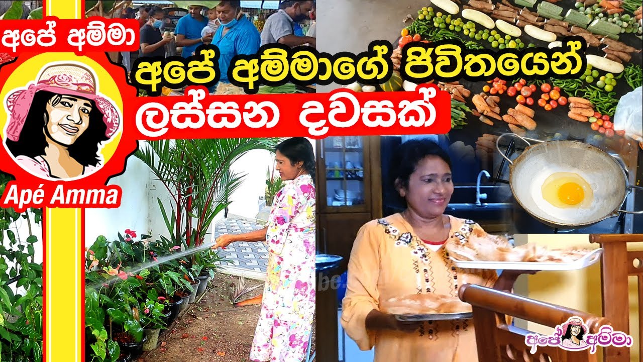 ✔ අපේ අම්මාග‌ේ ජිවිතයෙන් ලස්සන දවසක්  Day in a life by Apé Amma