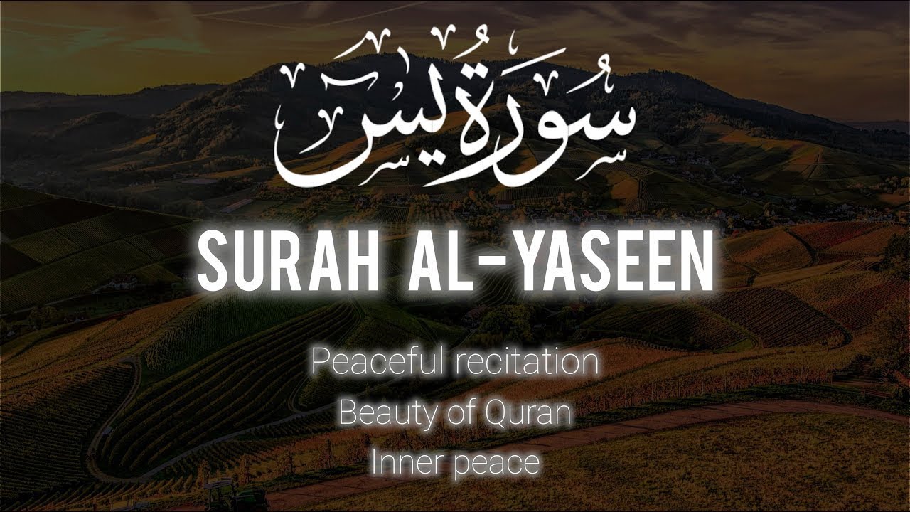 How Surah Yaseen Can Change Your Perspective Today