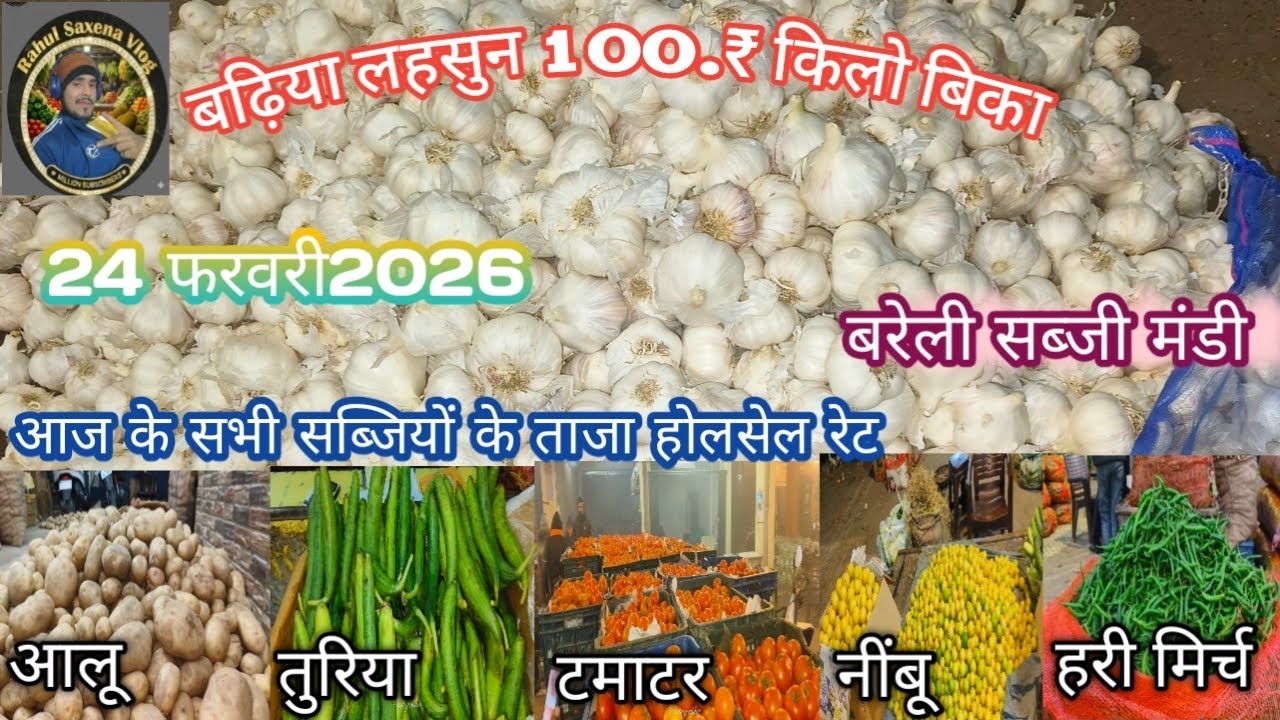 बरेली सब्जी मंडी 24 फरवरी2026#streetfood #vegitablemarket #vegitablemarket #viralvideo 
