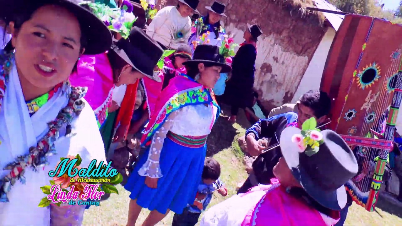 ♫♫►MALDITO  DE  VILCASHUAMAN ◄ LINDA FLOR DE CONTAY ♣♣ TORIL♫♫