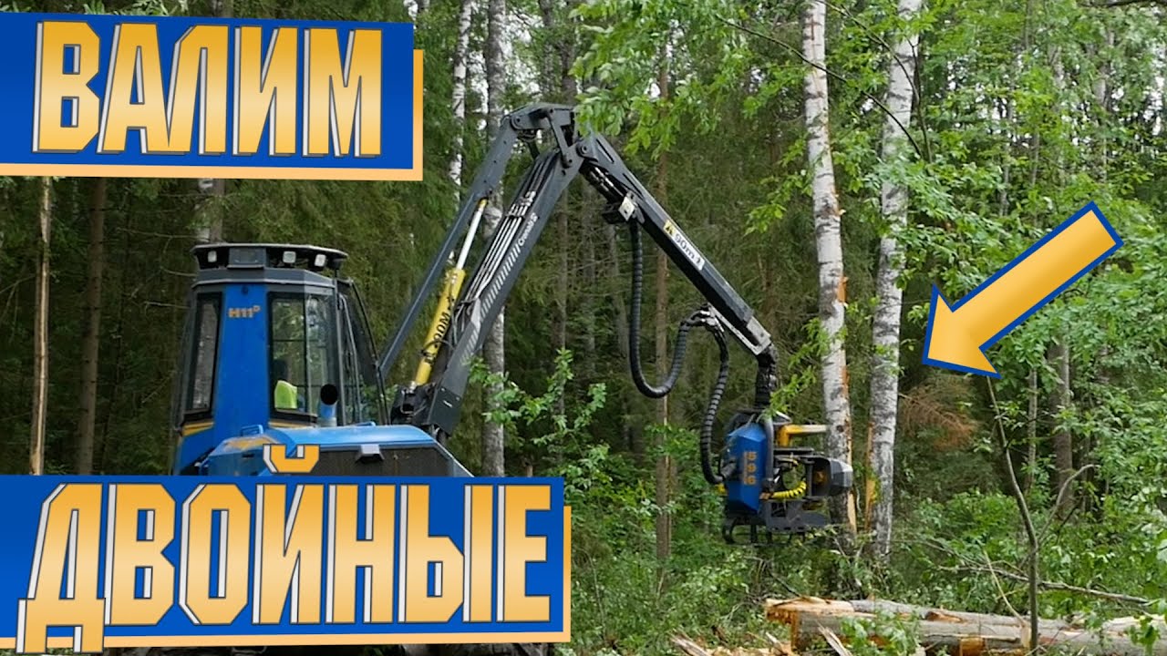 Как валить двойные деревья? How to cut a 