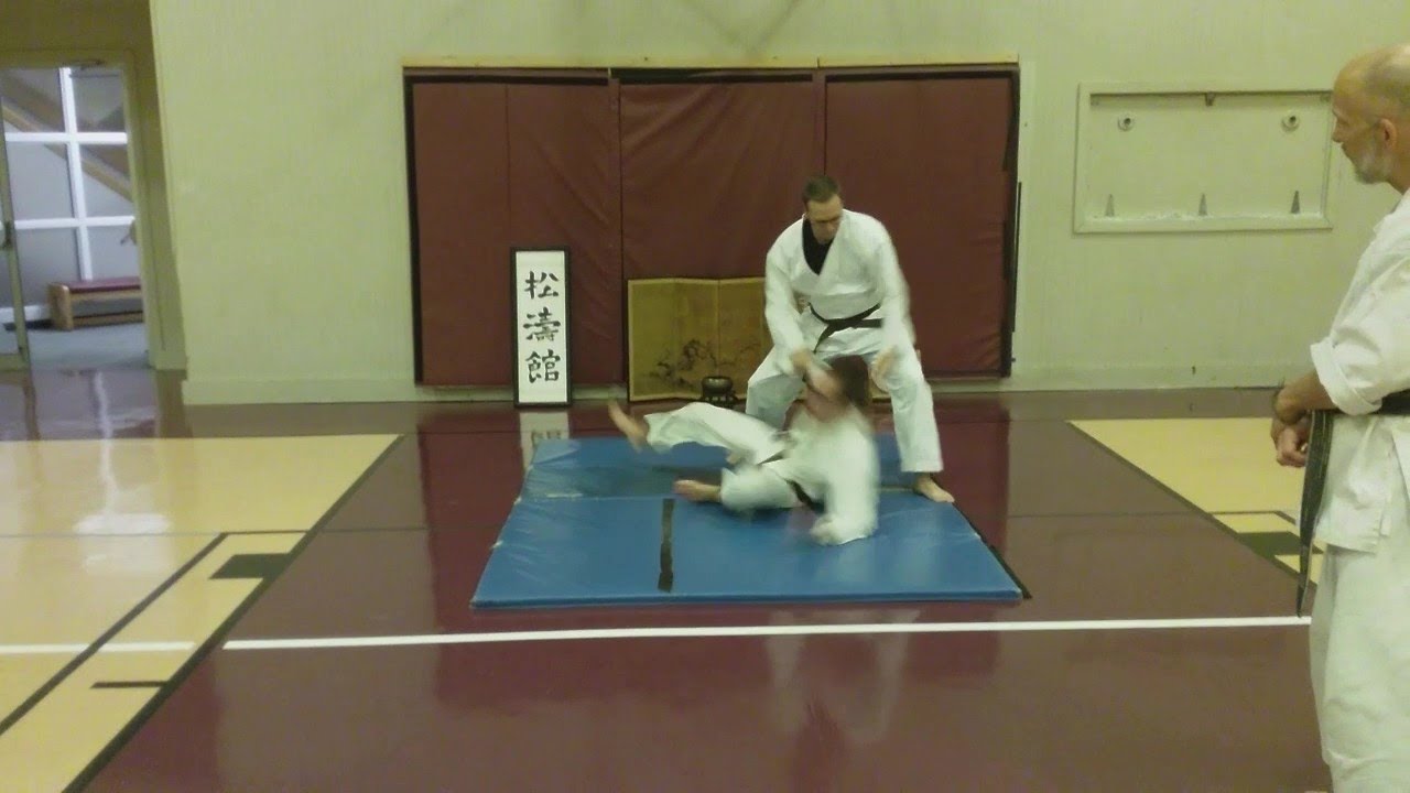 Today's Technique: Gedan barai 3/3   (application)