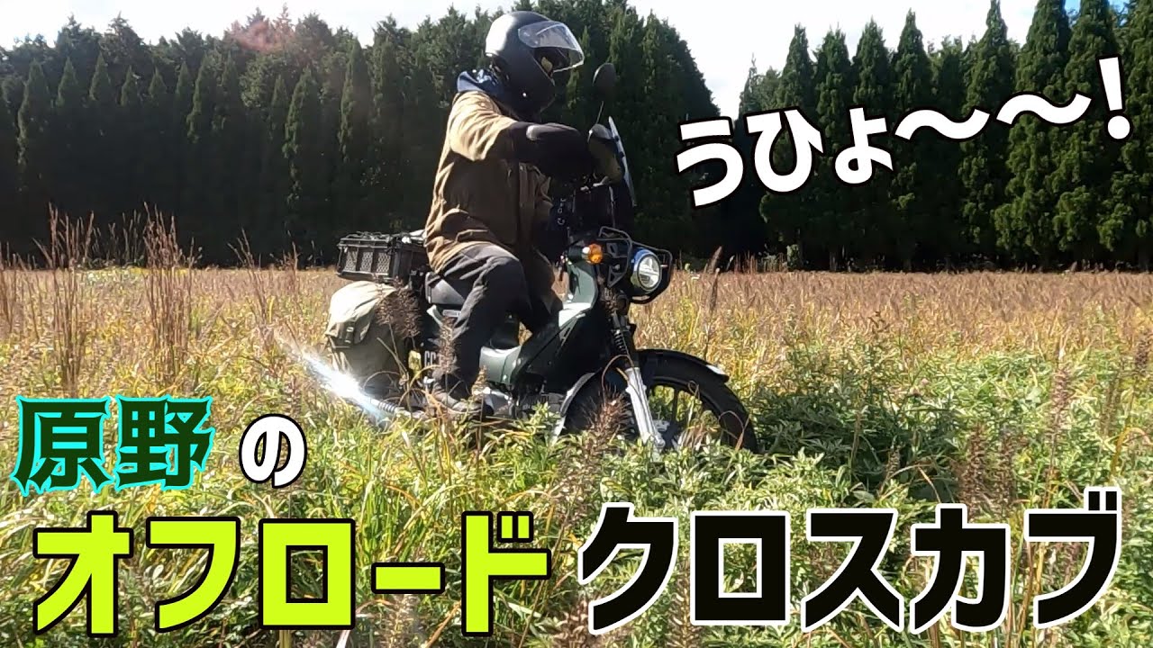 草原のクロスカブ110! 原野のオフロード魂 | バイクVlog