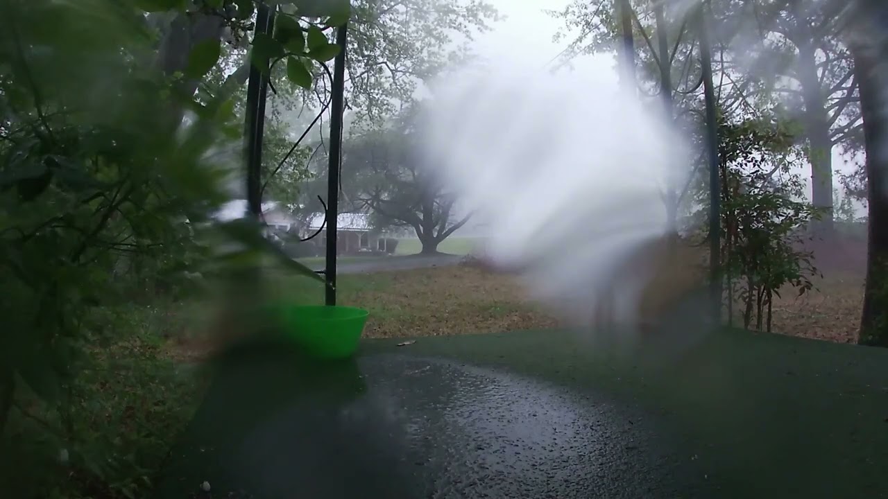 Just a Storm And Special Appearances From The Kitty Krew