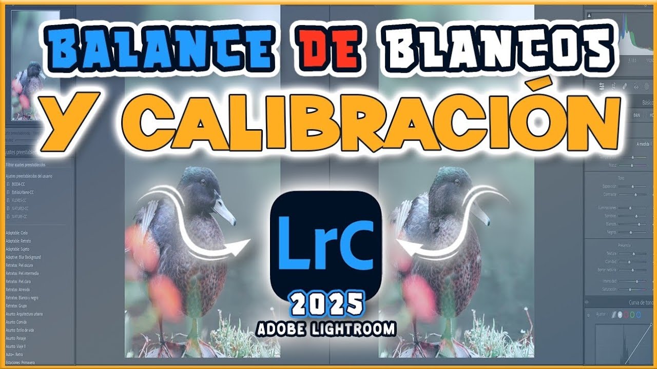 🔴Diferencias entre el BALANCE de BLANCOS y CALIBRACIÓN en ADOBE LIGHTROOM 2025