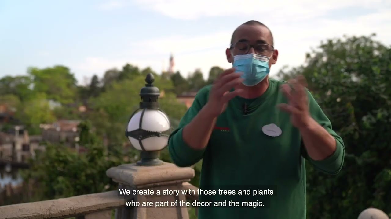 Disneyland Paris  l’enVERT du décor - ÉPISODE 4 - LES ARBRES
