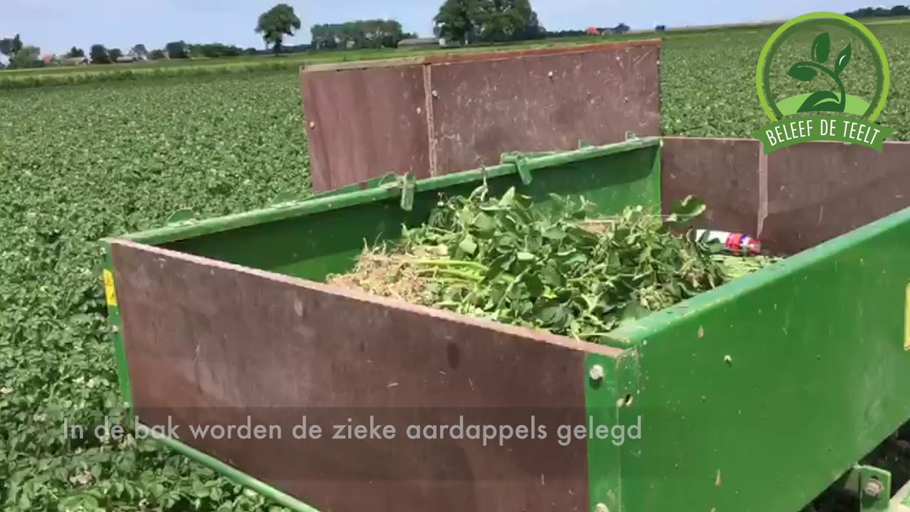 Aardappels selecteren I Beleef de teelt I #15