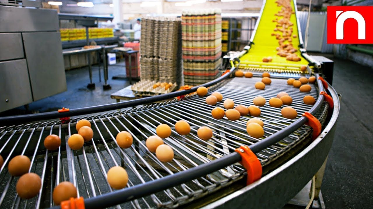 Food Industry Machines & Production Processes That Are At Next Level ▶ 1