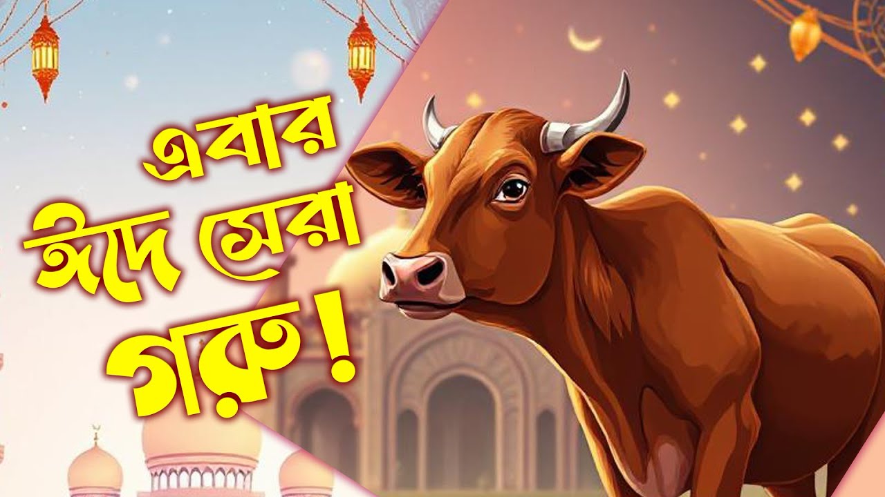 কোরবানির গরু কিনলাম! 😍 এবার ঈদে সেরা গরু! | Qurbani Cow 2025 | Eid al-Adha Vlog