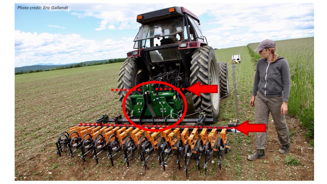 Camera Steering Systems for Precision Cultivation and Weed Management in Cereals