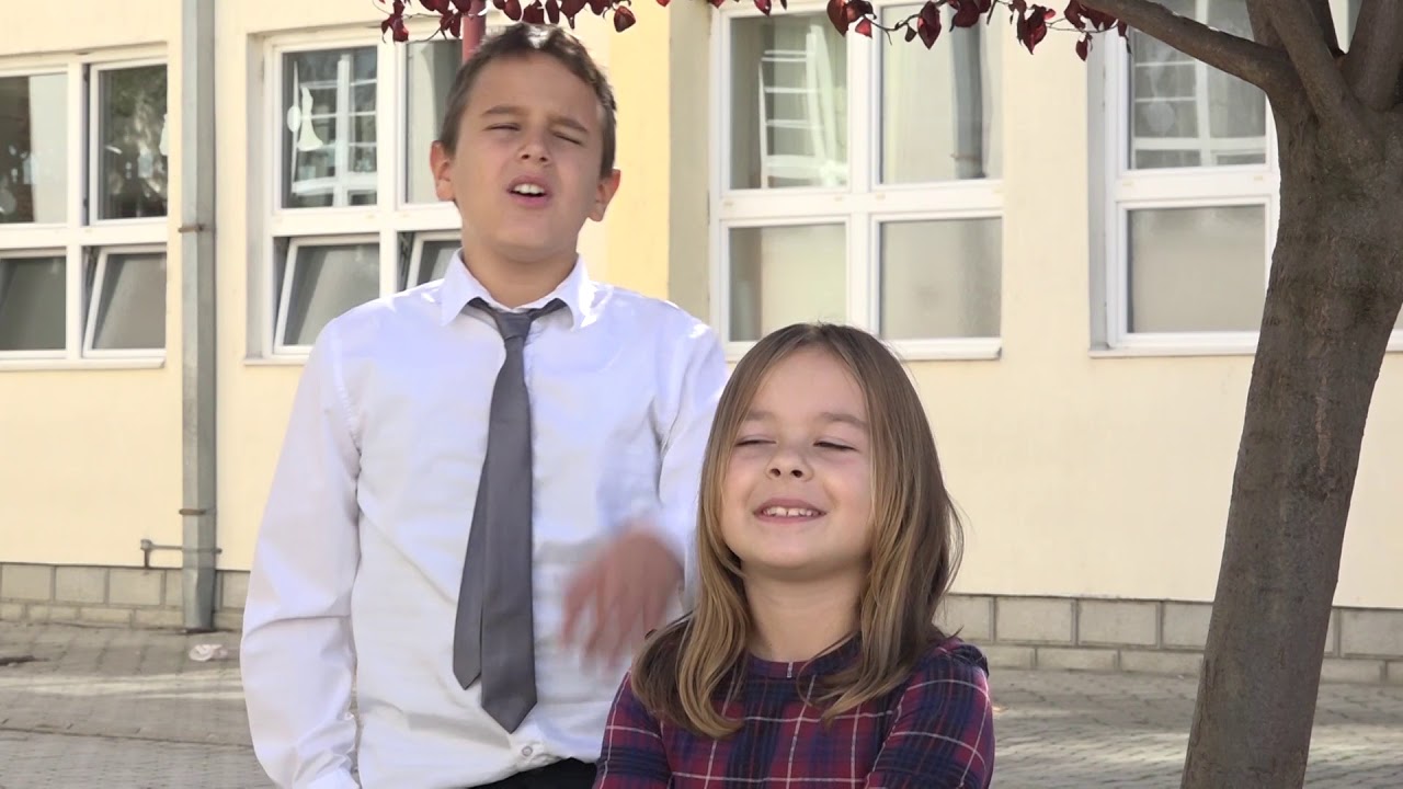 80 godina OŠ "Milica Pavlović", oktobar 2017.