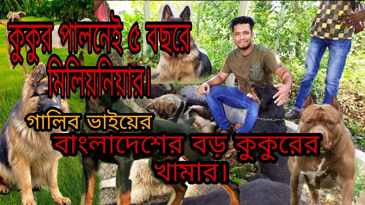 Khulna Kennel | গালিব ভাইয়ের কুকুরের খামার | Ayoun Vlog