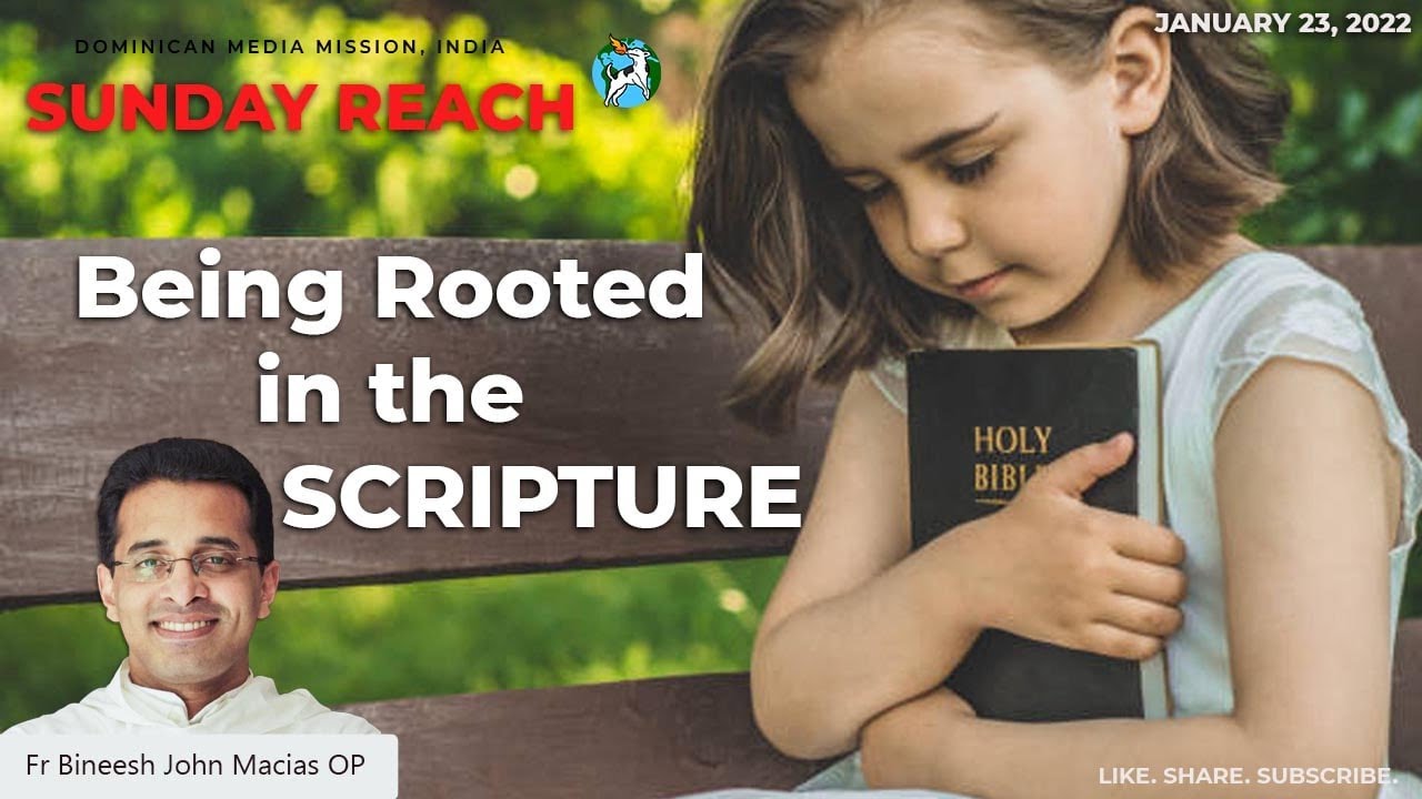 3rd Sunday in Ordinary Time|Jan 23, 2022 | Sunday Reach |Fr Bineesh John Macias OP| Lk 1:14; 4:14-21
