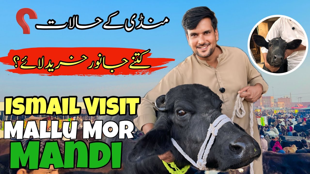 Ismail Jutt Visit Mallu Mor Mandi