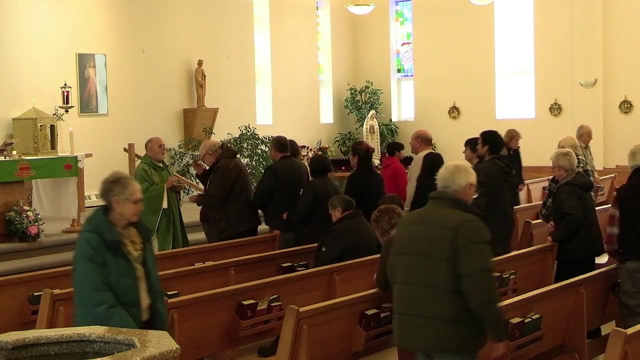 5th Sunday in Ordinary Time