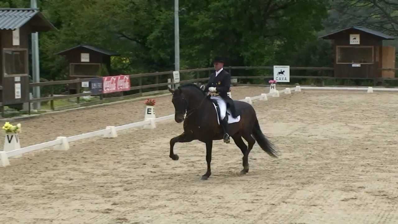 Victor Alvarez y Curioso XXV Caballo P.R.E Gran Premio Doma Clasica
