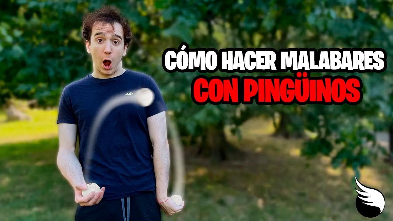 ¿Quieres aprender a hacer malabares con pingüinos? ¡Este tutorial es el mejor!