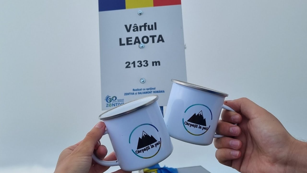 Ep 03 - La pas prin Masivul Leaota - Varful Leaota + peisaj superb cu bujorul de munte