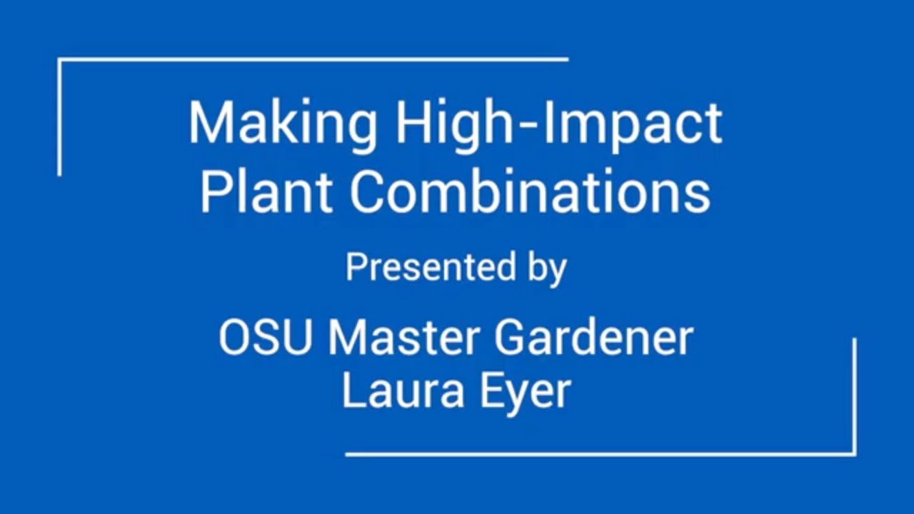 High-Impact Plant Combinations - OSU Master Gardeners