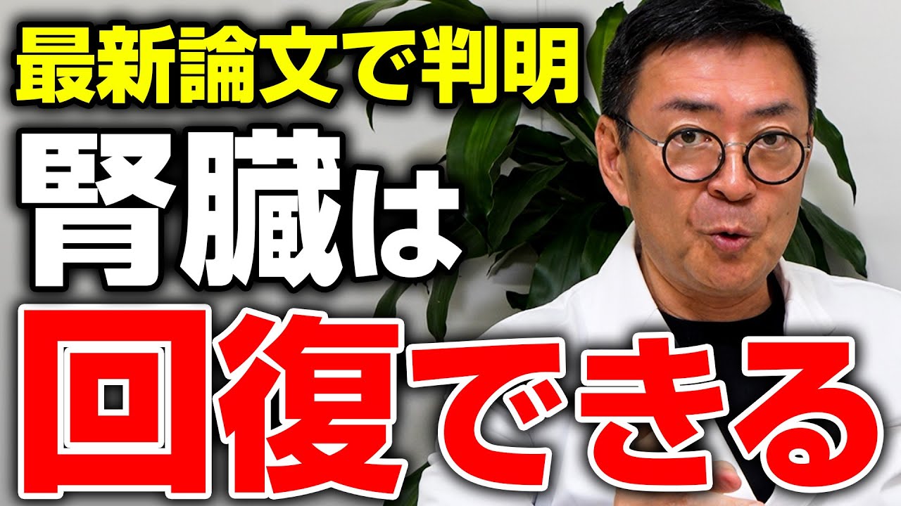 腎臓の悩みを全て解決！西洋医学、東洋医学、先進医療を駆使して腎機能を守る方法