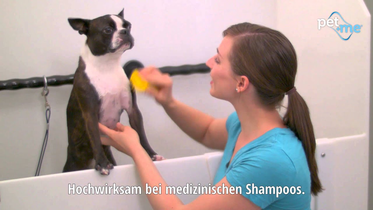 pet+me DE: DIE ECHTE SILIKONB&Uuml;RSTE