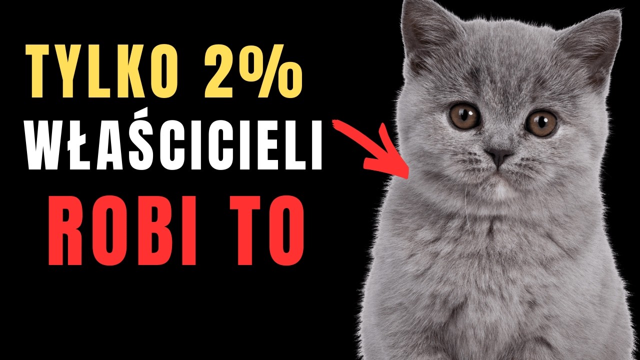 12 Prostych Gestów, Dzięki Którym Twój Kot Naprawdę Cię Pokocha