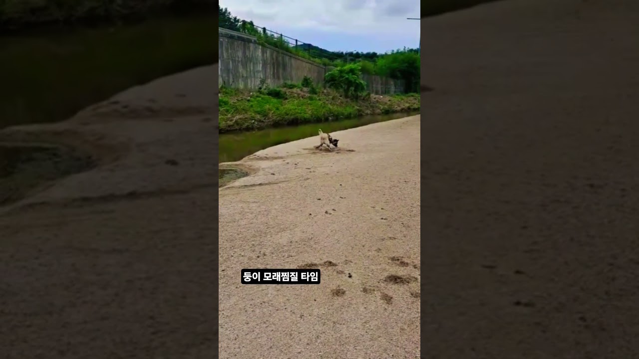 #둥이앤앵두