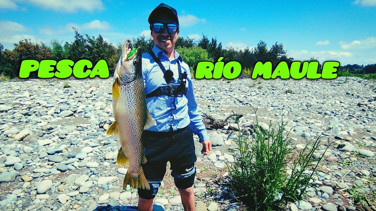 PESCA DE TRUCHAS FARIO CON SEÑUELO !!!LETAL!!!