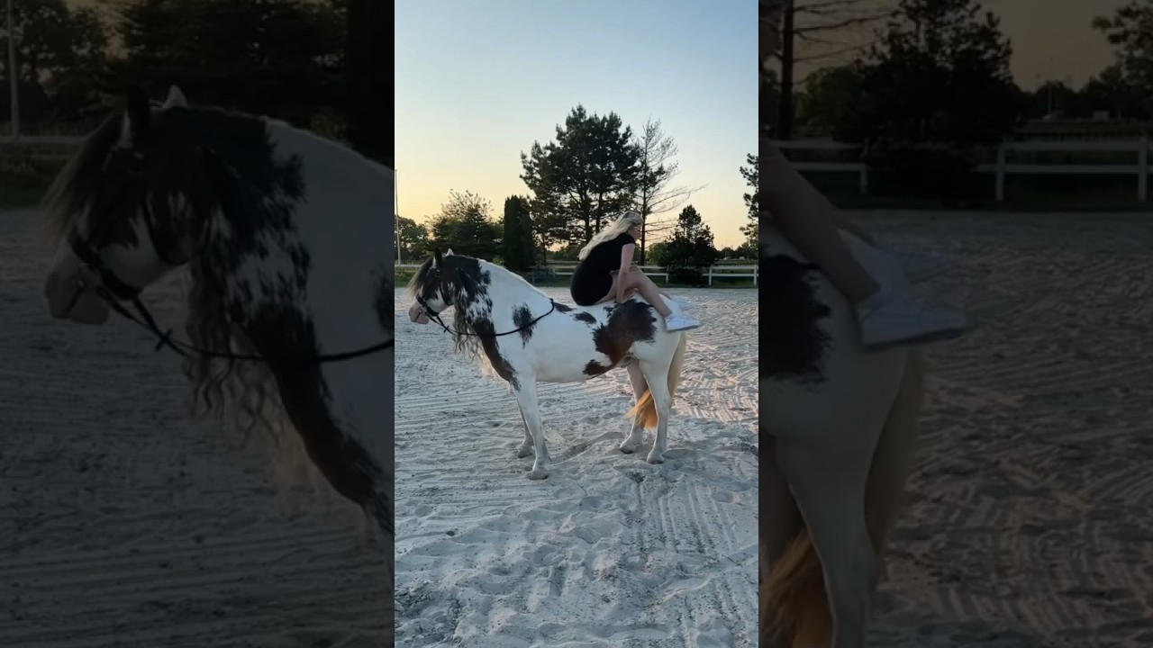 Worte von Herzen ❤️Wem hast du dein Herz geschenkt? 🐴 #equestrian #shortvideo #shortsfeed #horse