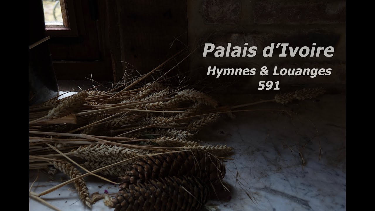 Hymnes & Louanges 591 - Palais d'Ivoire -  Cover instrumental