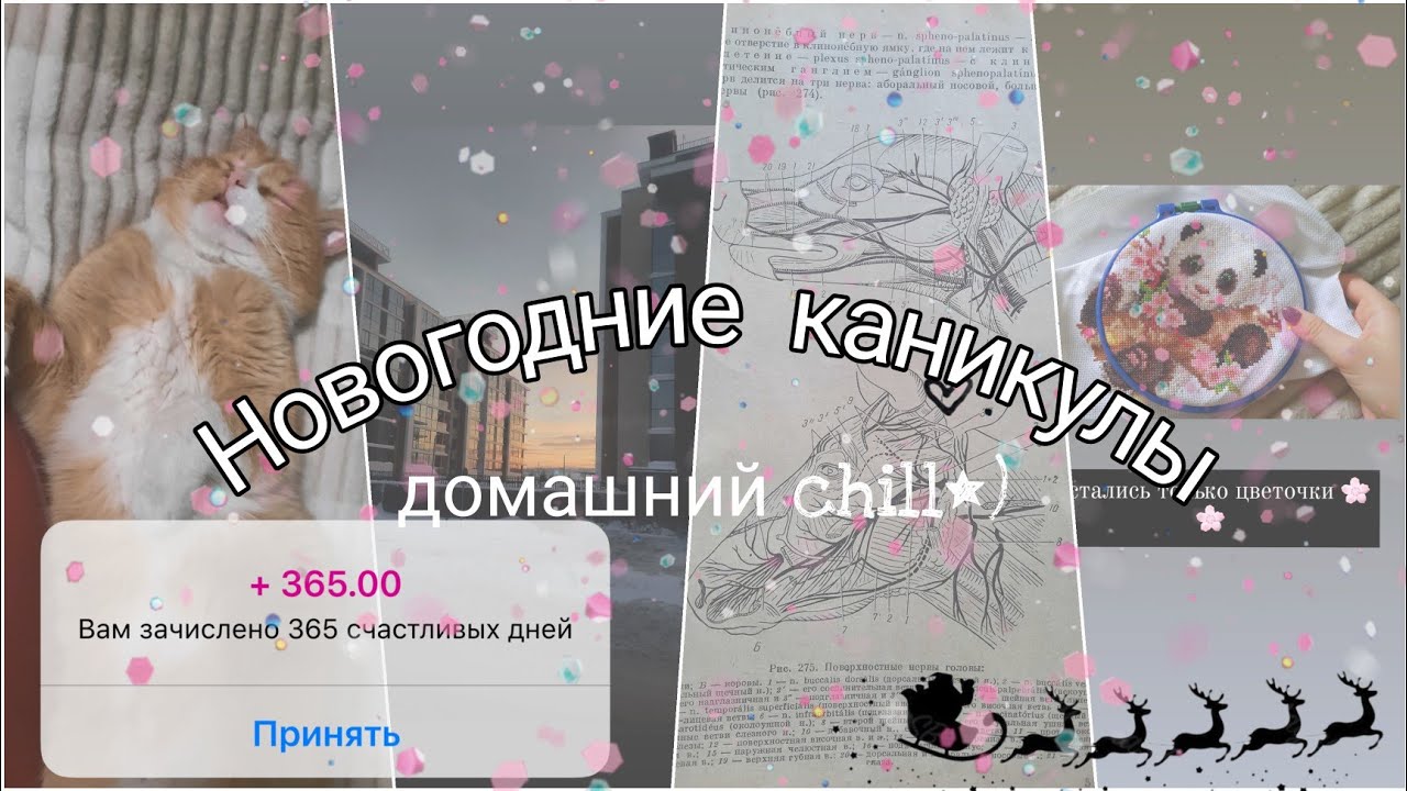 Новогодние каникулы🦄//Начало экзаменов //Как я провожу выходные 🐕😉