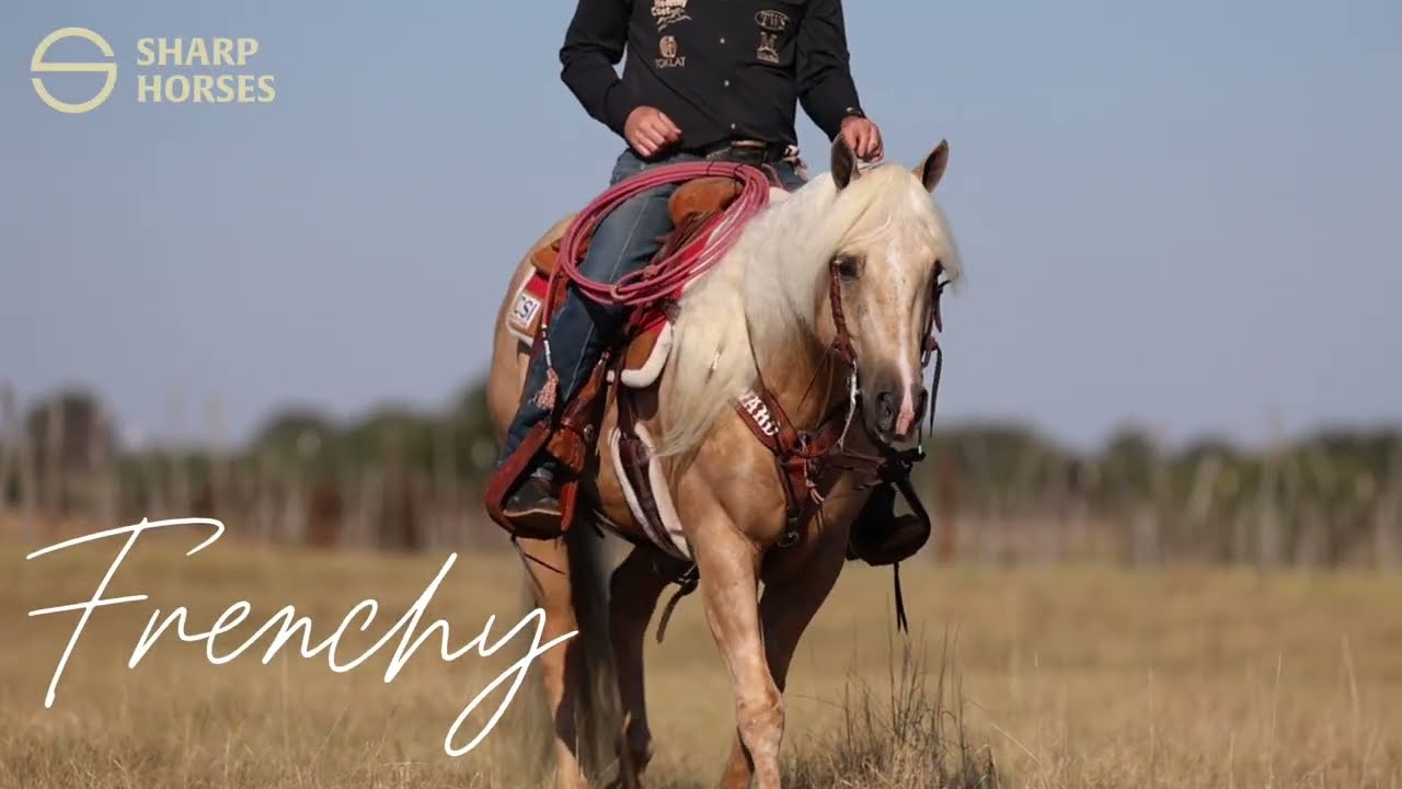 *NEW* Frenchy-BR LAST TIME AROUND