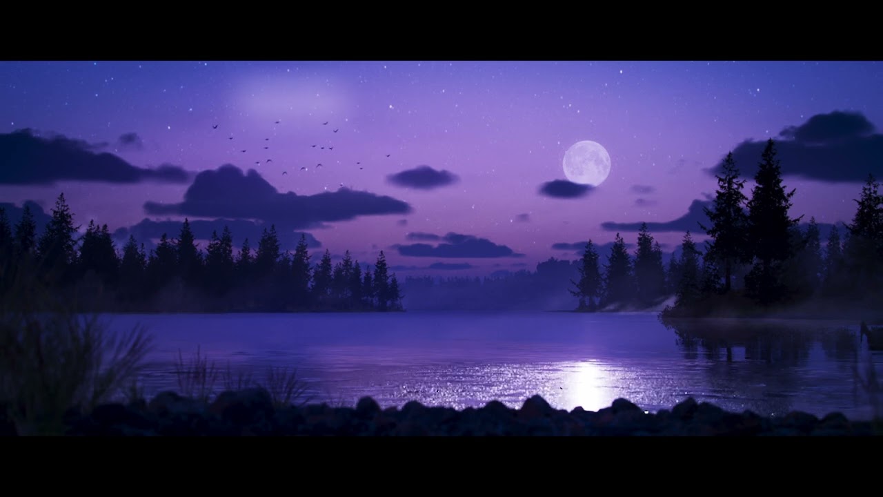 Loon Calls and Waves ASMR | Full Moon Lake Ambience