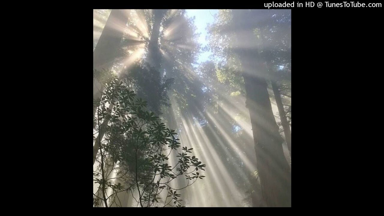 free* kxiko1 x ambient x organic type beat