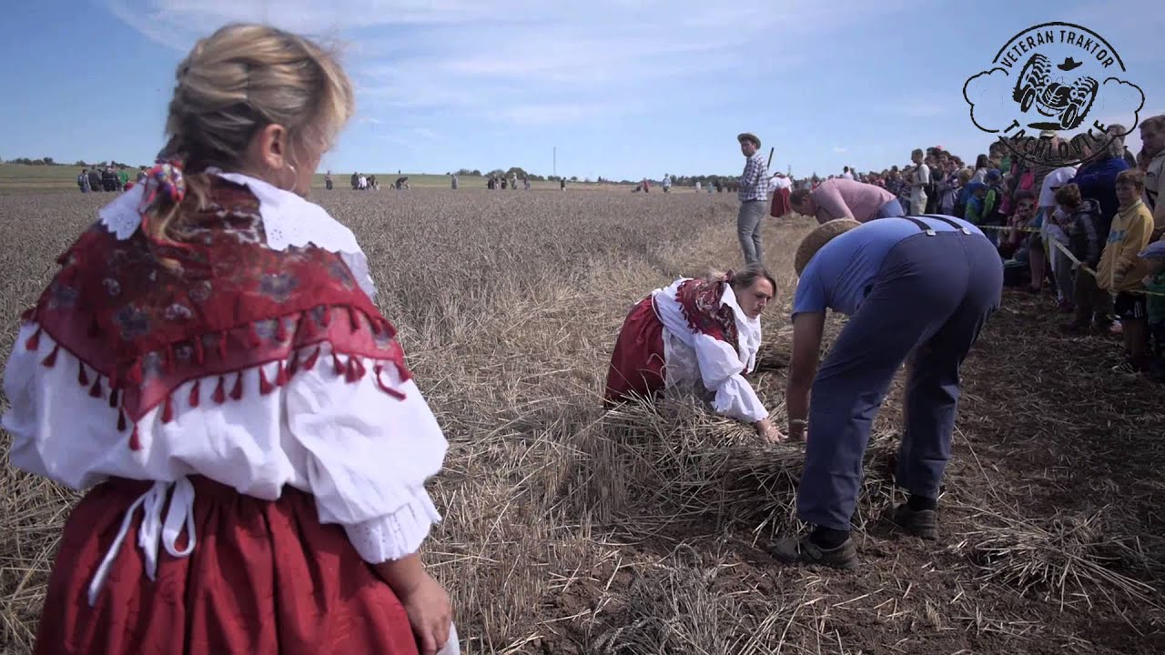 Tachlovick&aacute; hrouda 2015 - OFICI&Aacute;LN&Iacute; VIDEO
