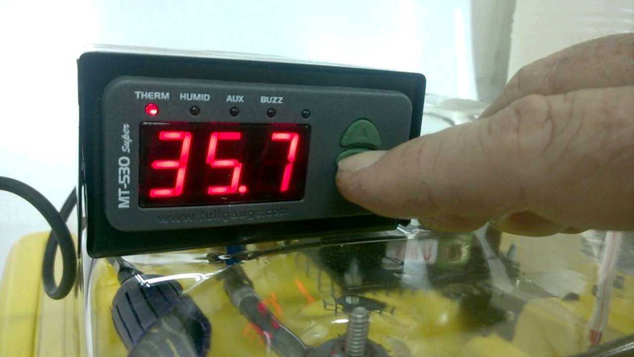 Ajuste de temperatura e umidade Termostato MT-530 - Chocadeiras Premium Ecológica