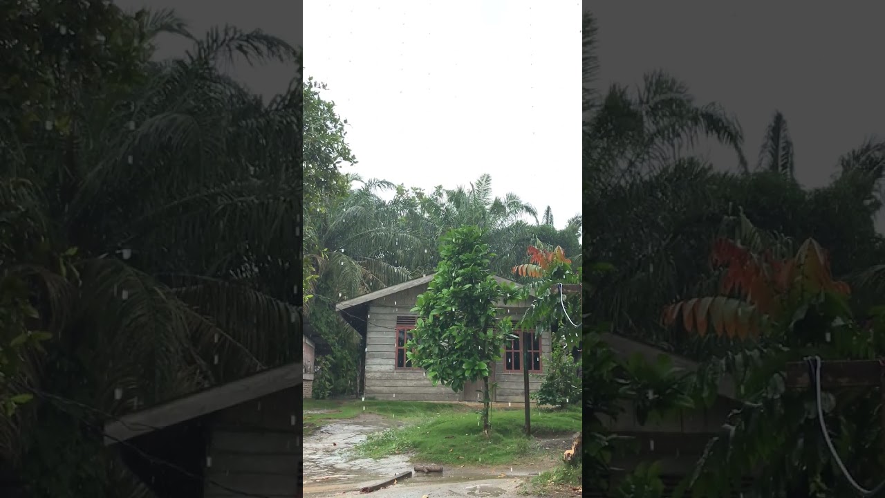 Relaxing Village Rain Sounds | No Music, Pure Nature ASMR