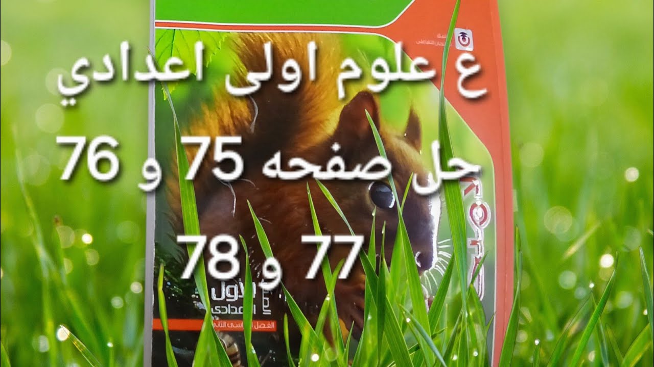 حل صفحه 75 و 76 و 77 و 78 علوم اولى اعدادي الترم الثاني 2026 ملخص الامتحان