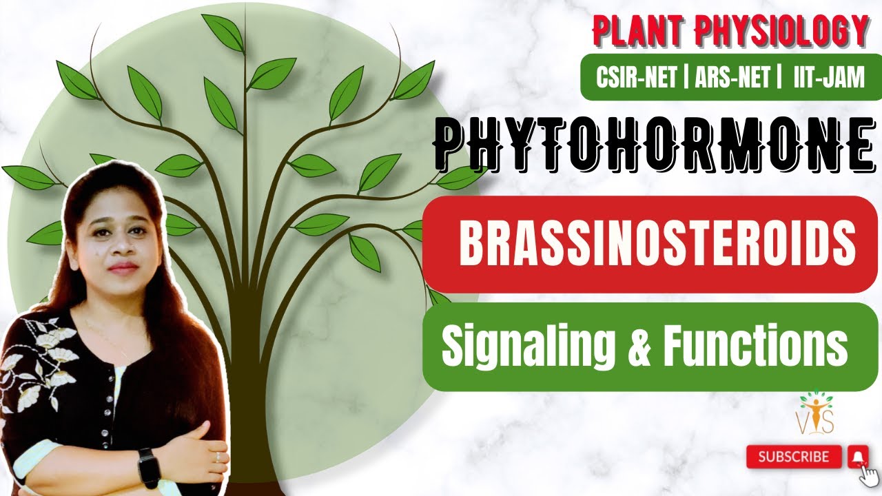 Plant Hormone Brassinosteroids | Discovery | Signaling | Function  | CSIR-NET