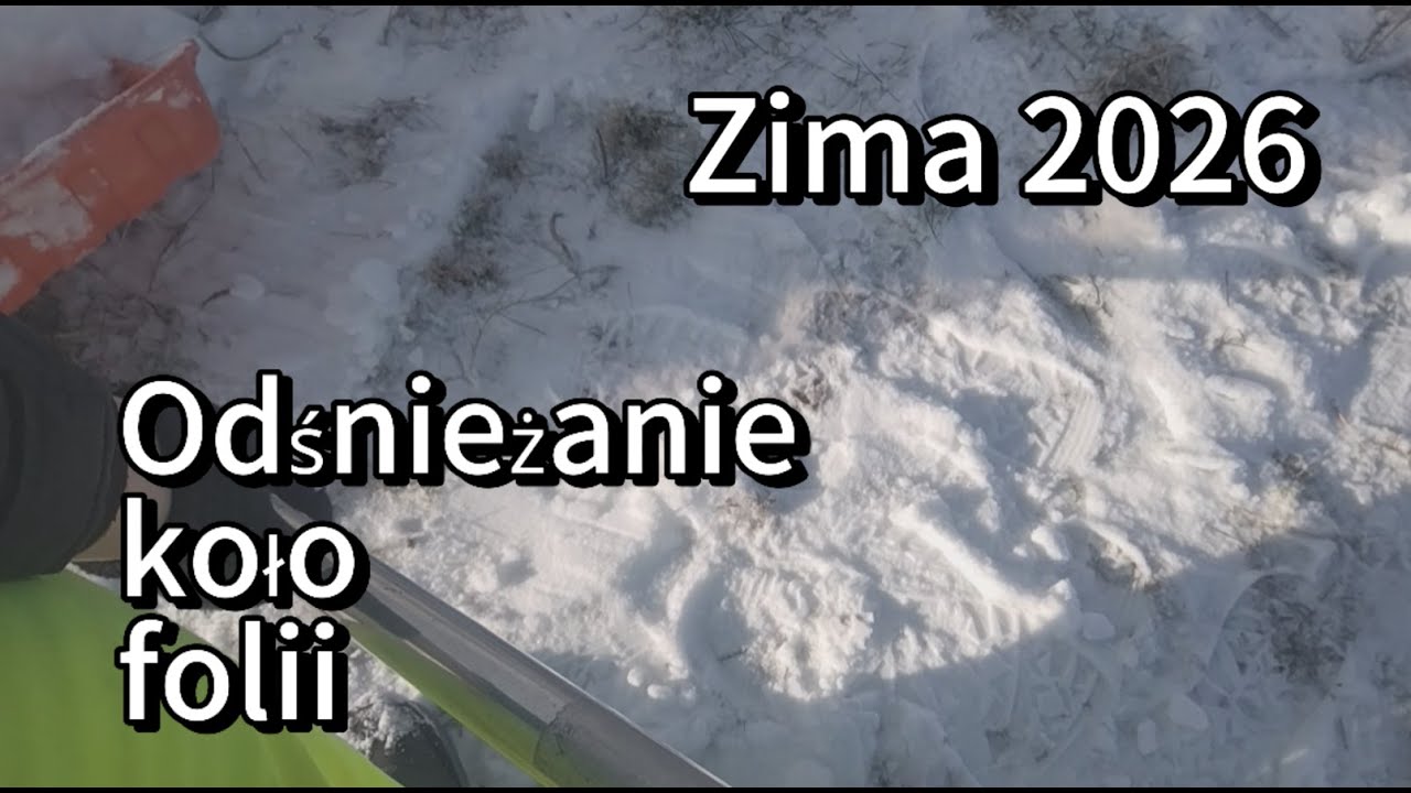 Odśnieżanie koło folii! 🤩Zmagania z zimą!😘 GRZ Vlog #1