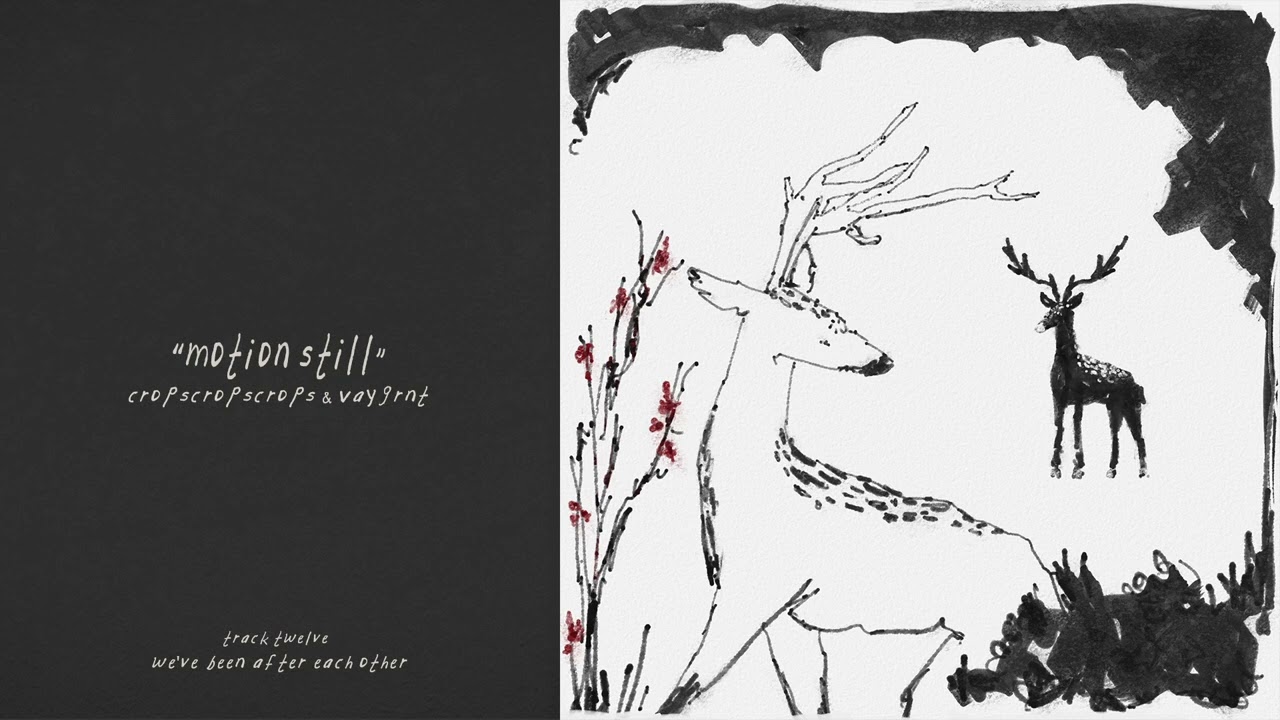 cropscropscrops & vaygrnt - motion still (official audio)