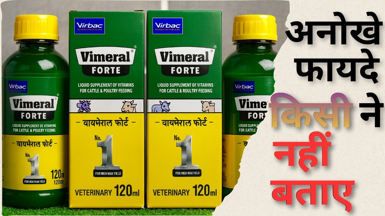 🔥Vimeral Forte के गज़ब फायदे जो किसी ने नहीं बताए!